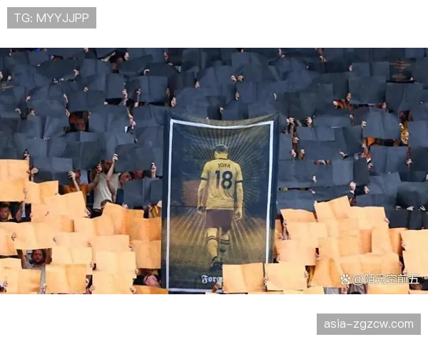 莫利纽球场响起掌声，狼队球迷致敬因伤离场的对手后卫